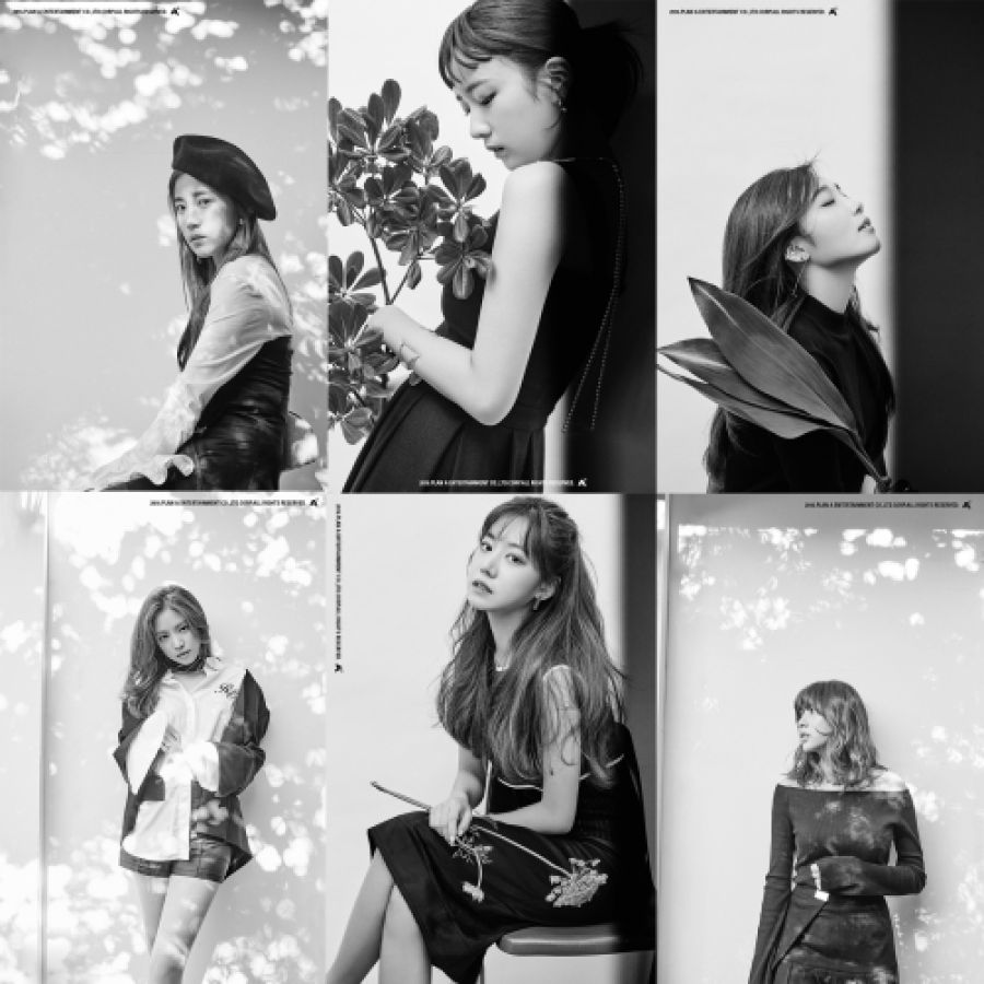 Apink a travaillé avec Black Eyed Pilseung pour la chanson principale de son album 