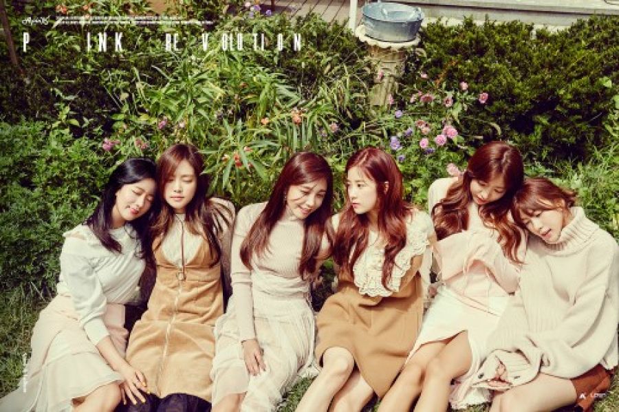 Apink dévoile les plans de son premier album spécial en cadeau pour ses fans