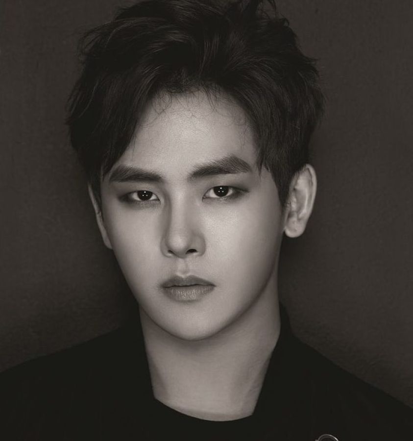 Hoya d'INFINITE offre à ses fans une belle reprise de 