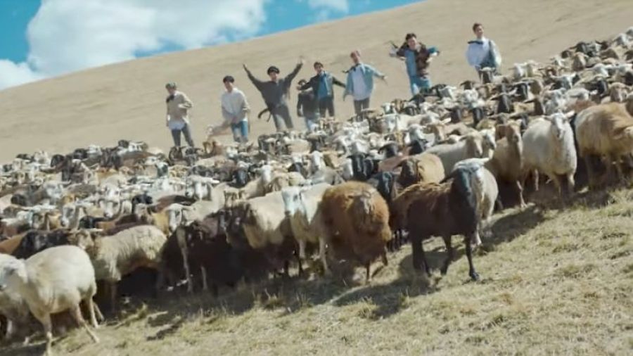 IN2IT chasse les moutons dans une belle bande-annonce pour 