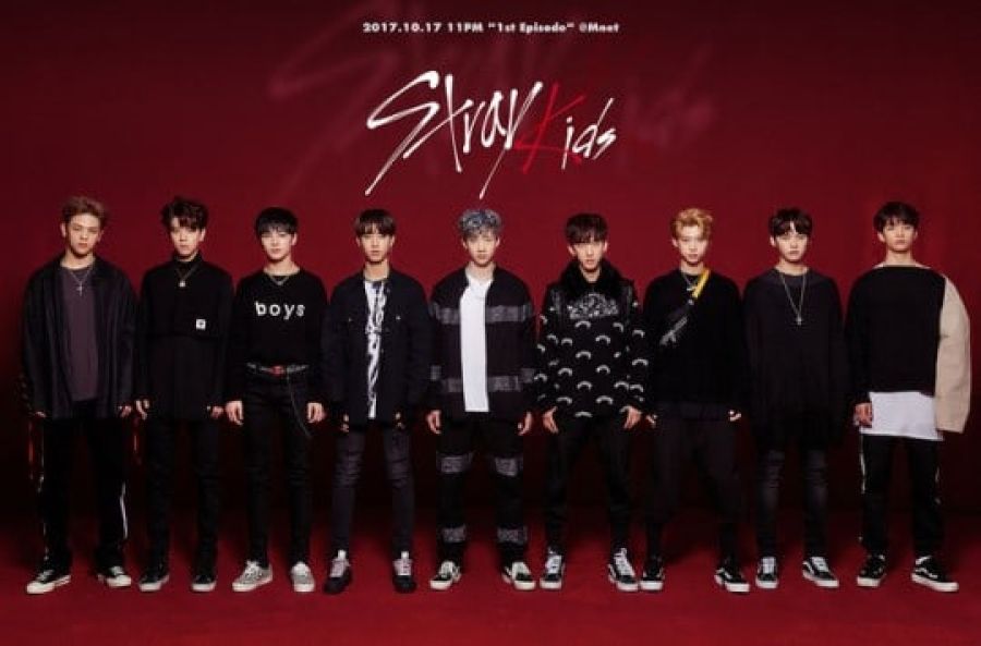 JYP Entertainment publie une déclaration officielle sur les débuts de Stray Kids