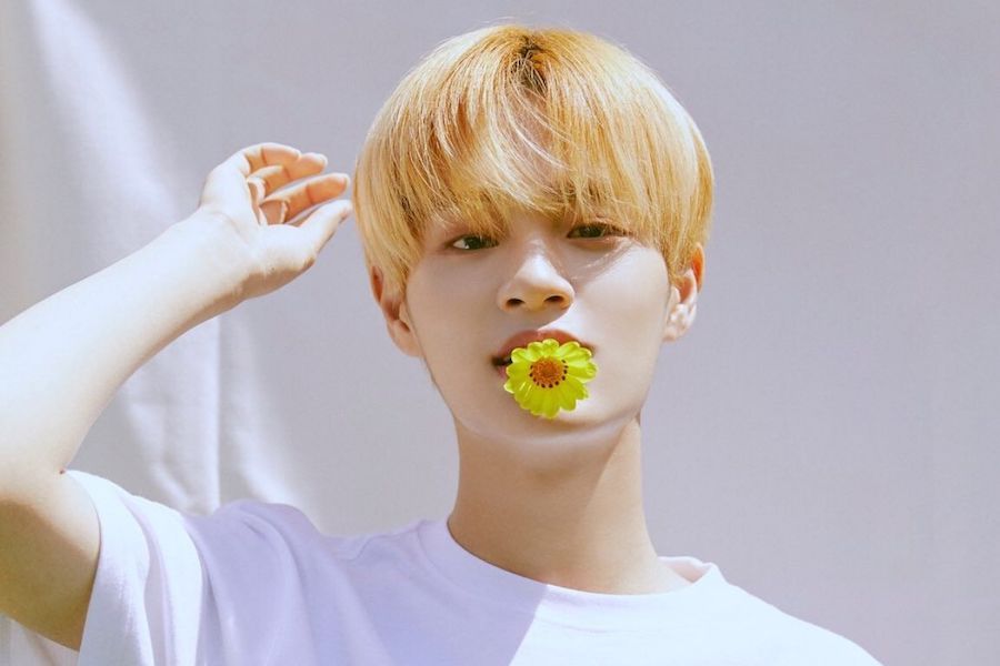 Il est confirmé que Lee Dae Hwi de Wanna One a fait l'une des chansons d'évaluation de concept pour 