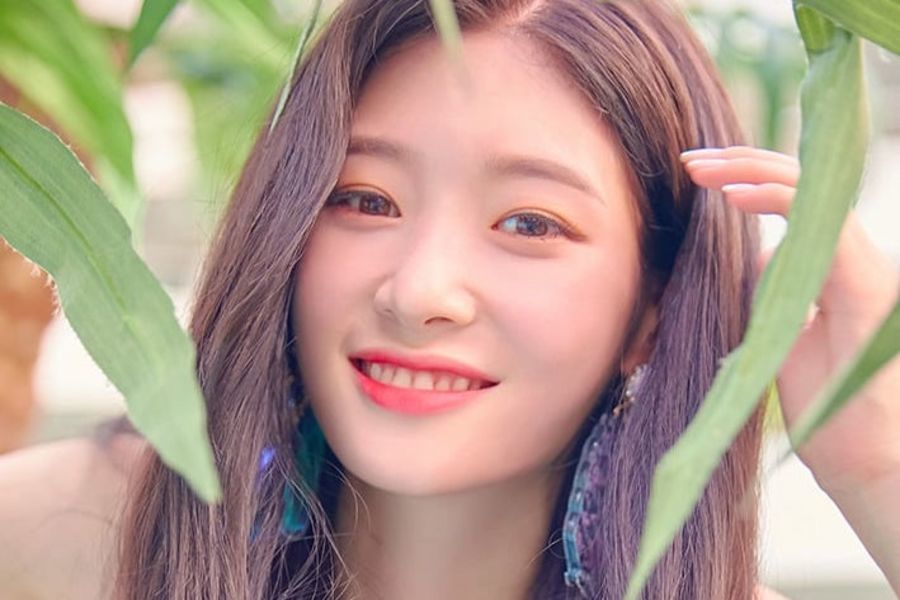 Jung Chaeyeon de DIA parle de voir 