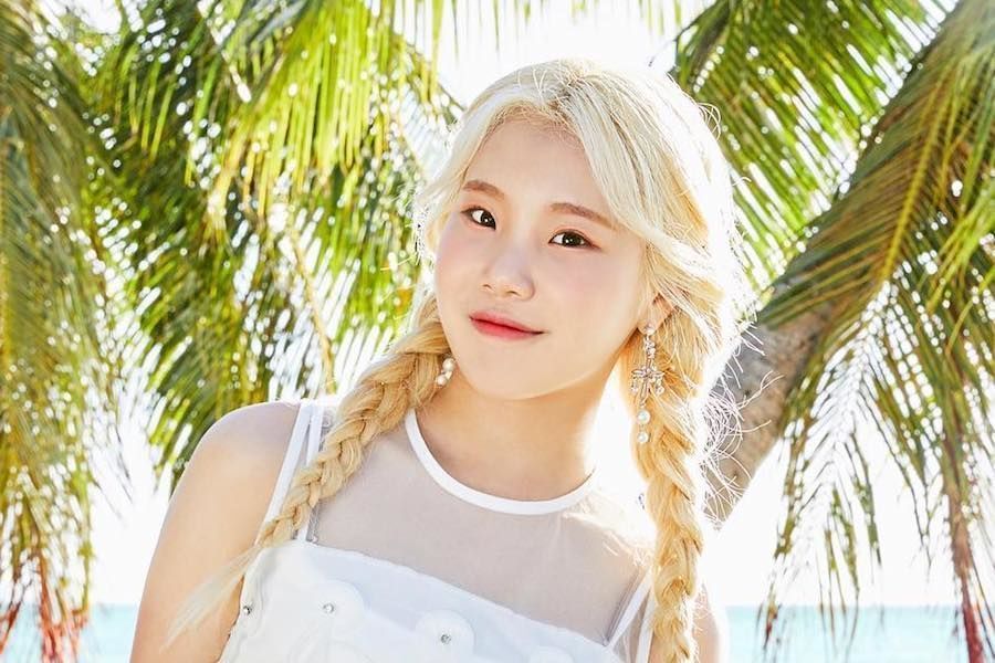 Joom of MOMOLAND retire ses accusations contre des commentateurs malveillants