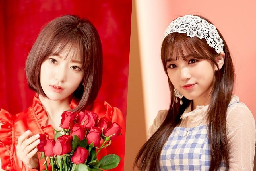 L'agence d'IZ * ONE explique la participation de Miyawaki Sakura et Yabuki Nako au concert de HKT48