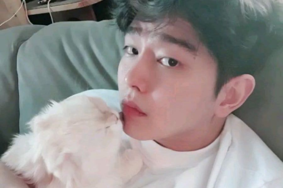 Yoon Kyun Sang écrit avec enthousiasme à propos de la mort de son chat et demande des prières