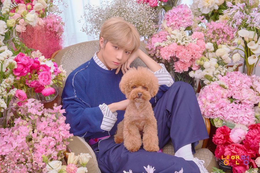 Beomgyu de TXT est adorable avec un chien dans les photos de concept pour 