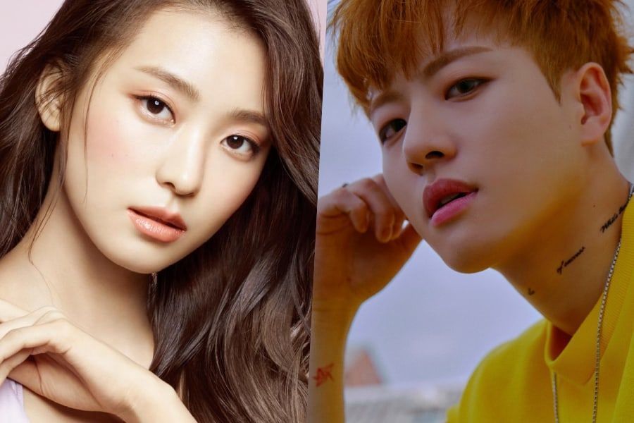 Bora et Feeldog confirment leur pause