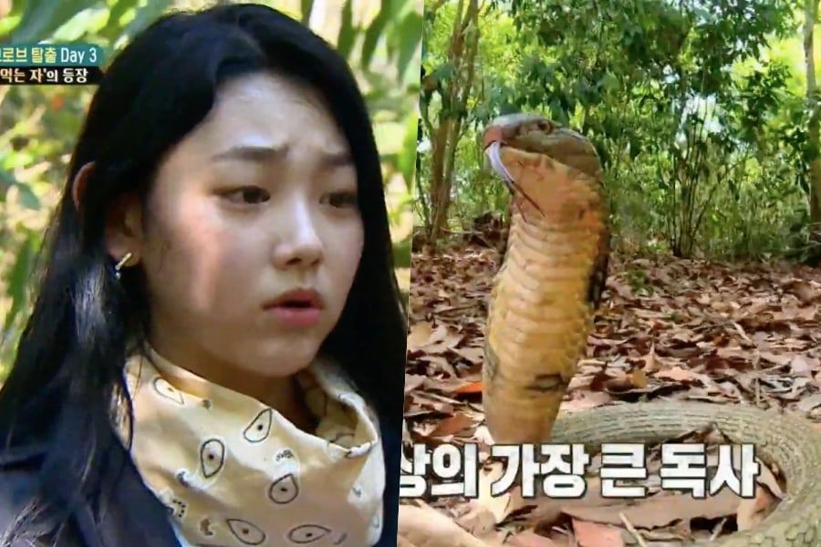 Mine Gugudan surprend tout le monde avec sa réaction inattendue à un cobra dans 