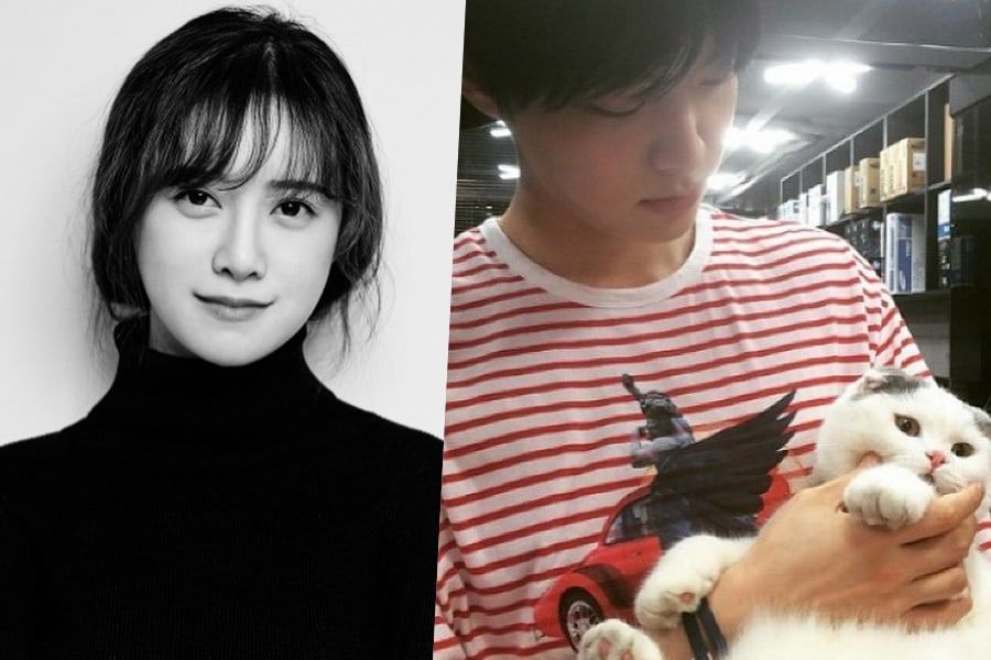 Ku Hye Sun dit qu'il ne peut pas divorcer de Ahn Jae Hyun en raison de problèmes de garde de chat