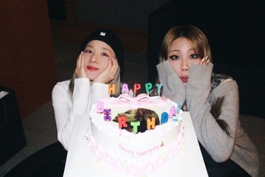 Les Membres De 2ne1 Envoient Leurs Felicitations D Anniversaire A Cl Sandara Park Vous Apporte