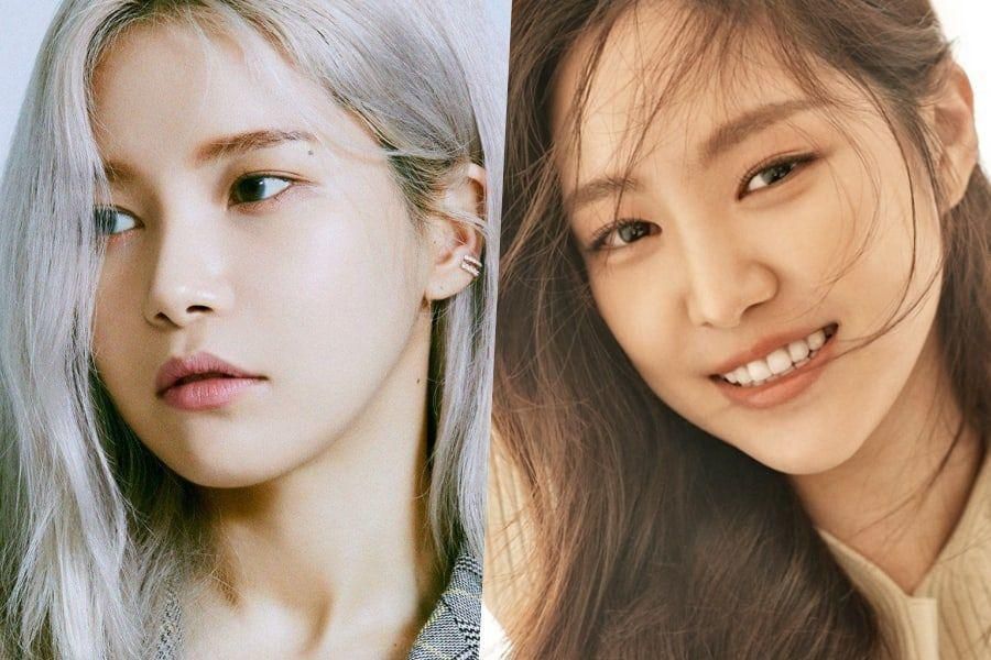 Solar de MAMAMOO et Son Naeun d'Apink rejoignent un nouveau programme de camping