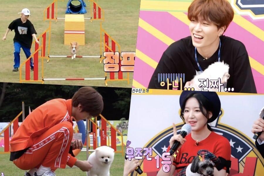 «Championnats d'agilité-chien Idol Star 2020 - Spécial Chuseok» présente des idoles et leurs animaux de compagnie bien-aimés + gagnant