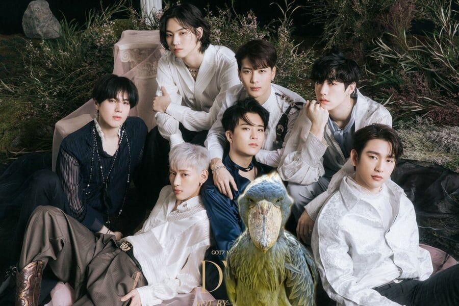 GOT7 ferait son retour en novembre + JYP répond