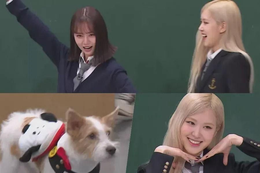 Rosé de BLACKPINK et Hyeri de Girl's Day font rire les gens en avant-première de «Ask Us Anything» (avec le chiot de Rosé)