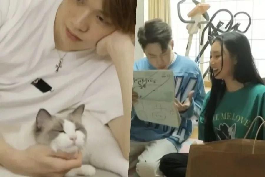 Kang Daniel traîne avec ses chats + Hwasa et Henry de MAMAMOO se disputent en avant-première de 