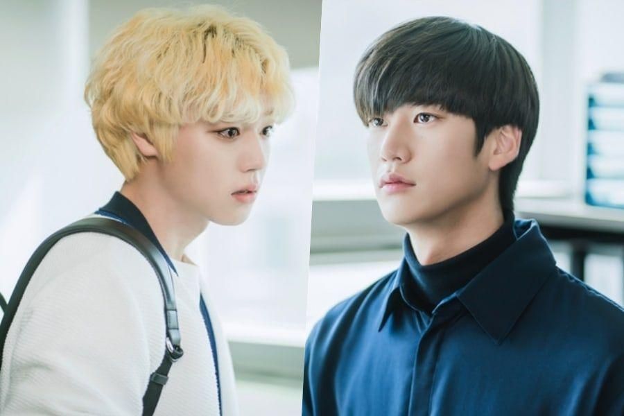 Park Ji Hoon et Na In Woo sont frères et sœurs avec une relation amour-haine dans 