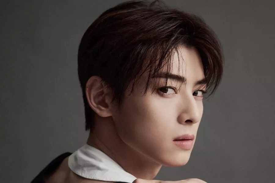 Cha Eun Woo d'ASTRO confirmé pour jouer dans un nouveau drame romantique