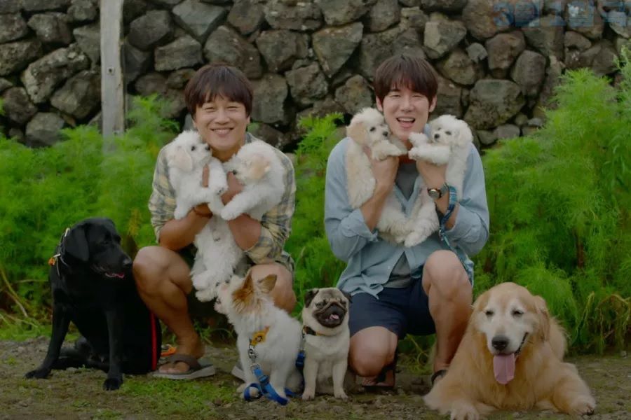 Yoo Yeon Seok et Cha Tae Hyun entreprennent involontairement un voyage d'adoption de chien dans d'adorables teasers pour le nouveau film 