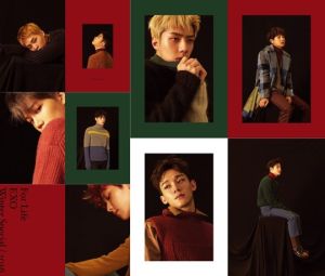 SM révèle pourquoi EXO lance un album d'hiver chaque année