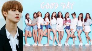 Bae Jin Young de Wanna One apparaîtra sur Good Day MV