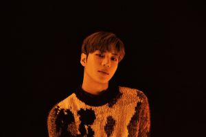 [Mise à jour] Taemin SHINee révèle plus de teasers contrastés pour "Day And Night"