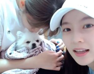 Jeongyeon et Gong Seung Yeon de TWICE partagent une mise à jour sur l'état de leur chien