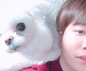 Youngjae de GOT7 ouvre un compte Instagram pour son animal de compagnie CoCo