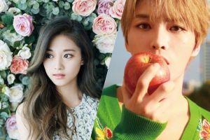 5 marques végétaliennes de K-Beauty (la plupart du temps) que vous devriez connaître