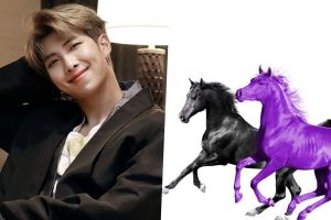 BTS RM apparaît sur le remix de «Old Town Road» de Lil Nas X