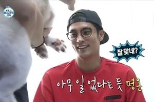 Sung Hoon adopte un nouveau chiot dans "I Live Alone" et demande aux gens de ne pas abandonner leurs animaux