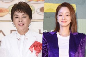 Kim Soo Mi va intenter une action en justice contre les commentaires malveillants au sujet de son fils et de Seo Hyo Rim