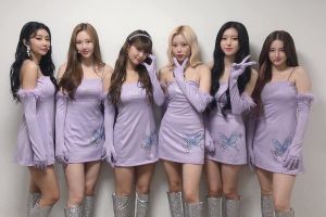 L'agence MOMOLAND intente une action en justice contre le harcèlement des membres sur les réseaux sociaux