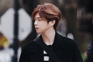 Kang Daniel parle de voyager et de trouver le bonheur à travers sa nouvelle émission de téléréalité «Bonjour Daniel»