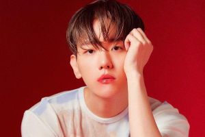 Baekhyun d'EXO en tête des palmarès iTunes dans le monde avec "Delight"