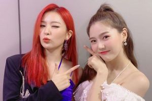 Seulgi de Red Velvet et Hyojung de Oh My Girl montrent leur amitié avec une jolie photo